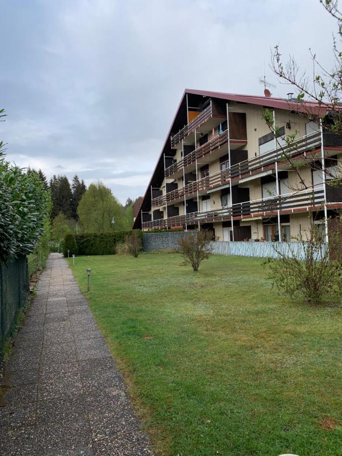 Ferienwohnung Lara Ludwigswinkel Exteriér fotografie